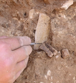 Excavation of mass grave at Towton